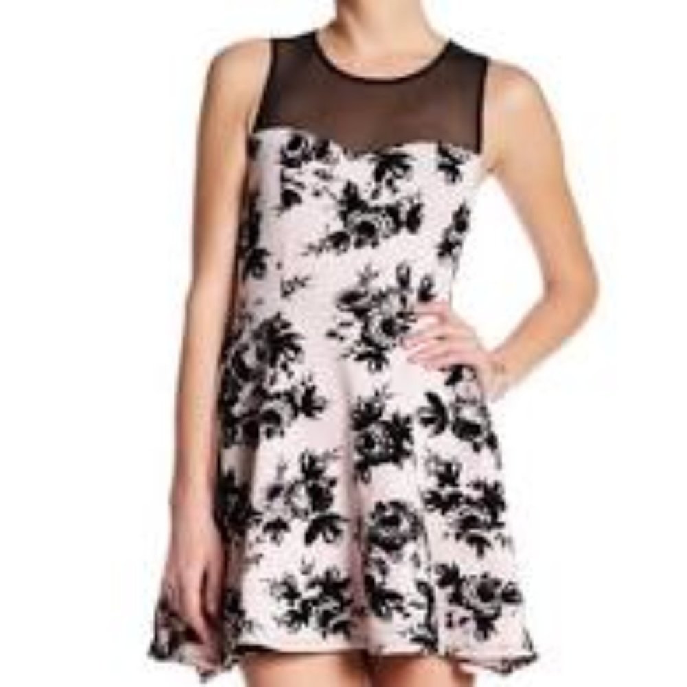 Trixxi Pink Black Floral Fit and Flare Dress 2X